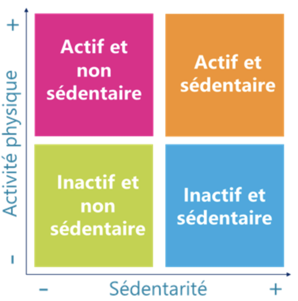 test sédentarité actif inactif